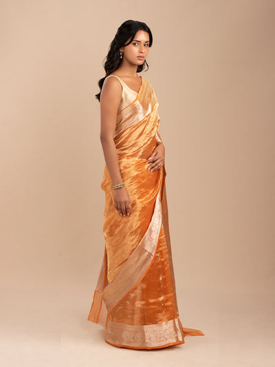 orange Banarasi tissue saree